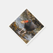 クロウ素晴らしム付きブラックオイスターキャッチャー スタンダードカクテルナプキン (角)