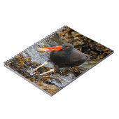 クロウ素晴らしム付きブラックオイスターキャッチャー ノートブック (左側)