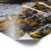 クロウ素晴らしム付きブラックオイスターキャッチャー フォトプリント (角)