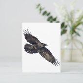 クロウ飛んでいる ポストカード (スタンド正面)