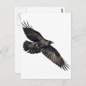 クロウ飛んでいる ポストカード (正面/裏面)