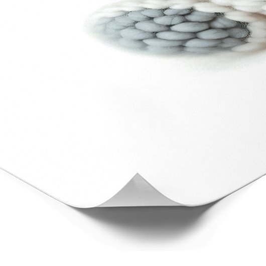 クロウ・グローブ ポスター (角)