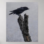 クロウ ポスター (正面)