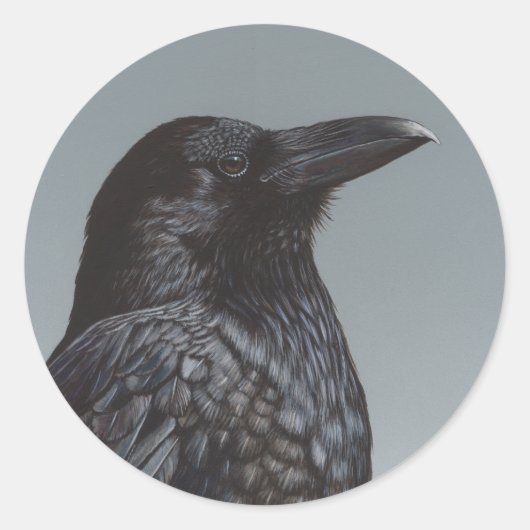 クロウ ラウンドシール (正面)