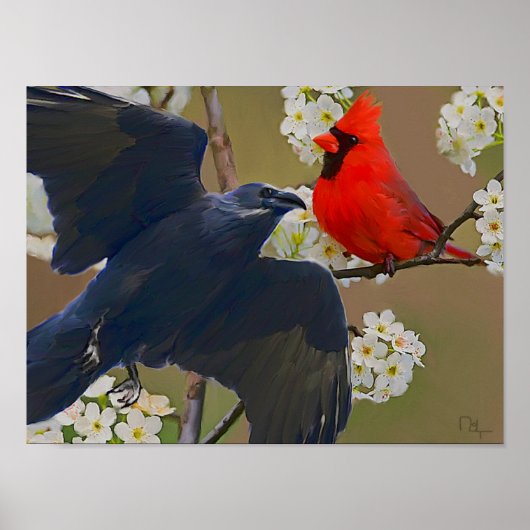 クロウ（鳥）ショウジョウコウカンチョウ ポスター (正面)