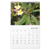 クロエのアートスタジオガーデンの写真, 2026カレンダー カレンダー (1月 2026)