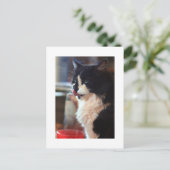 クロエリック ポストカード (スタンド正面)