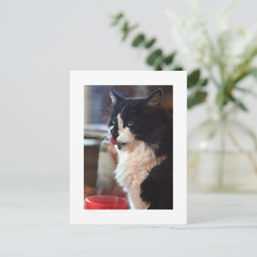 クロエリック ポストカード (スタンド正面)