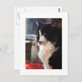 クロエリック ポストカード (正面/裏面)