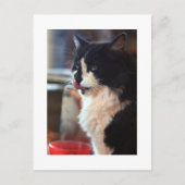 クロエリック ポストカード (正面)