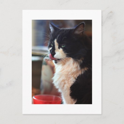 クロエリック ポストカード (正面)