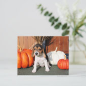 クロエ語 – ビーグル写真–1 ポストカード (スタンド正面)