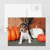 クロエ語 – ビーグル写真–1 ポストカード (正面/裏面)