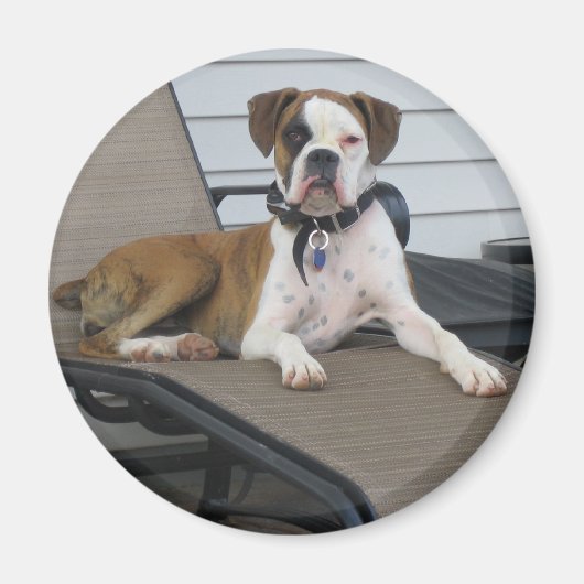 クロエ マグネット (正面)