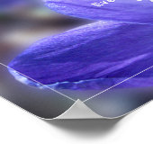 クロカスパープルフォト引用文 ポスター (角)