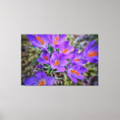 クロカスファインアート キャンバスプリント (正面)