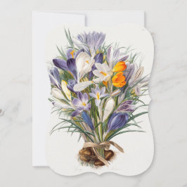 クロカス春花植物学フローラアート