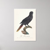 クロガシラオオインコ (Chalcopsitta atra) キャンバスプリント (正面)