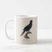 クロガシラオオインコ (Chalcopsitta atra) コーヒーマグカップ (左)