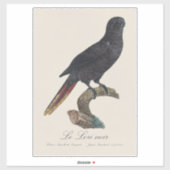 クロガシラオオインコ (Chalcopsitta atra) シール (シート)