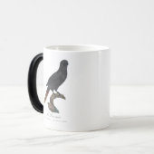 クロガシラオオインコ (Chalcopsitta atra) モーフィングマグカップ (正面左)