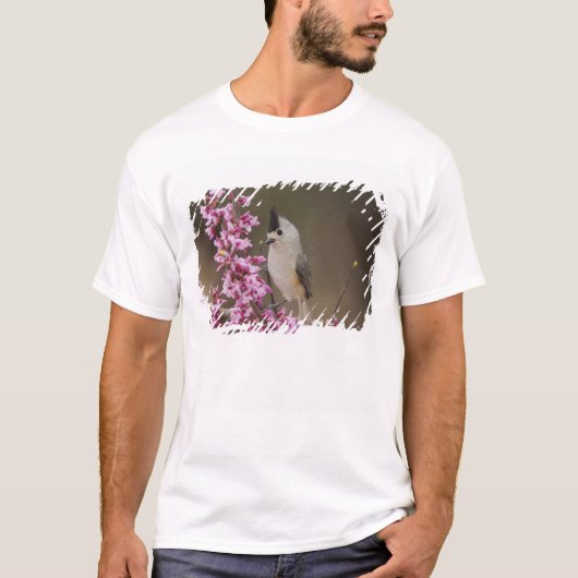 クロガビタイシジュウカラ Tシャツ (正面)