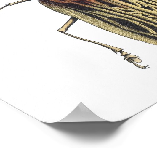 クロガムシ ポスター (角)