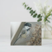 クロガラシガラコのポストカード ポストカード (スタンド正面)