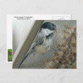 クロガラシガラコのポストカード ポストカード (正面/裏面)