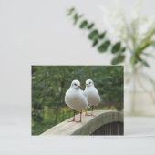 クロガラシガラ ポストカード (スタンド正面)