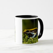 クロガワカエル, Mantella expectata, マグカップ (正面右)