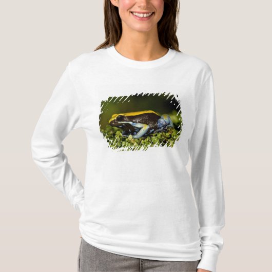 クロガワカエル Tシャツ (正面)