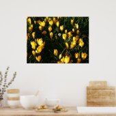 クロキュースデイジー ポスター (キッチン)