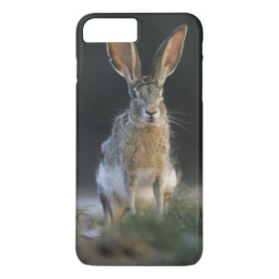 クロクビジャックウサギ, Lepus californicus, 2 iPhone 8 Plus/7 Plusケース