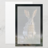クロクビワタオウサギ, Lepus californicus, 2 便箋 (正面/裏面)
