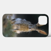 クロクビワタオウサギ, Lepus californicus, 2 Case-Mate iPhoneケース (裏面 (横))