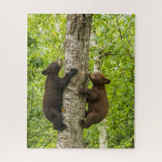 クロクマの子熊が木に登る ジグソーパズル (縦)