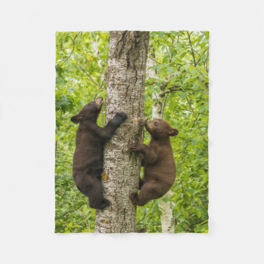 クロクマの子熊が木に登る フリースブランケット (正面)