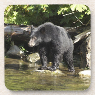 クロクマの「鮭のスポッティング」野生動物 コースター