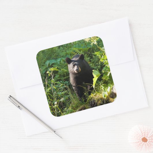 クロクマ スクエアシール (封筒)