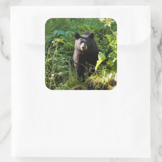 クロクマ スクエアシール (バッグ)