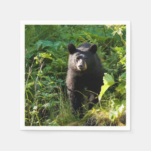 クロクマ スタンダードカクテルナプキン (正面)