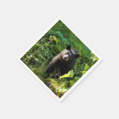 クロクマ スタンダードカクテルナプキン (角)