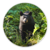 クロクマ セラミックノブ (正面)