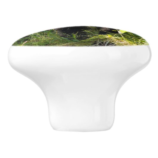 クロクマ セラミックノブ (側面)