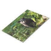 クロクマ ノートパッド (アングル)