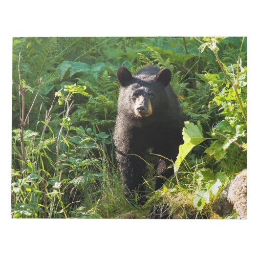 クロクマ ノートパッド (正面)