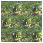 クロクマ ファブリック (見本)