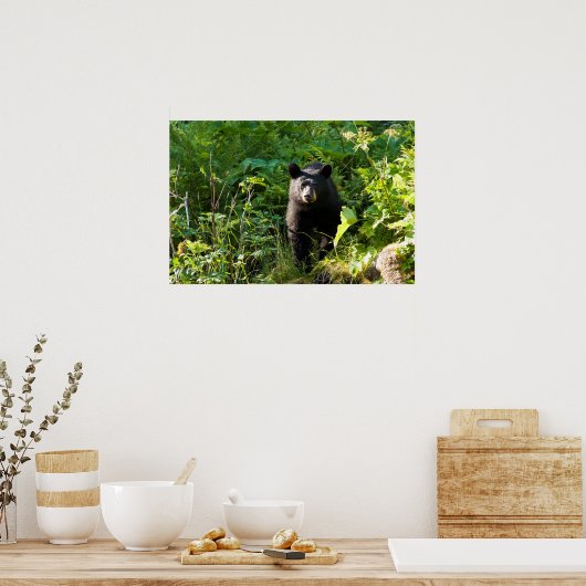 クロクマ ポスター (キッチン)