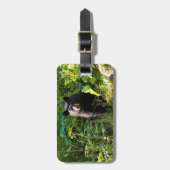 クロクマ ラゲッジタグ (正面縦)